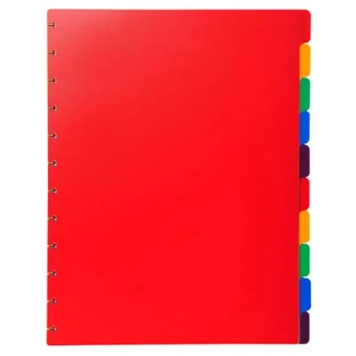 Afbeelding van Exacompta uitneembare tabbladen voor showalbum met ringen, in gekleurd PP, 10 tabs stuks