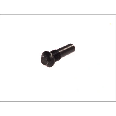 Afbeelding van DT Spare Parts 1.14243 Bout