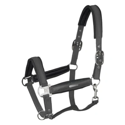 Image de Waldhausen Licol Mesh Anthracite Full