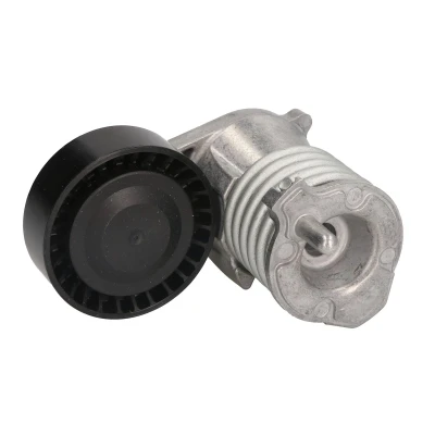 Afbeelding van SNR GA365.39 Spanrol VOLVO: V50, C30, FORD: Focus 2