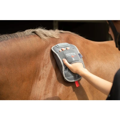 Image de Equilibrium Gant de Massage Hotspot Gris