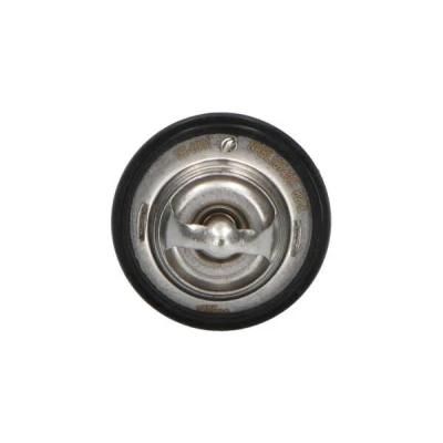 Afbeelding van Kavo Parts Thermostaat TH 1001