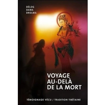Afbeelding van Voyage au dela de la mort
