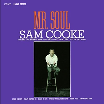 Afbeelding van Sam Cooke Mr. Soul (LP)