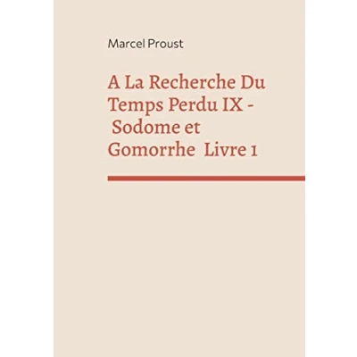 Afbeelding van A La Recherche Du Temps Perdu IX