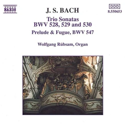 Afbeelding van Wolfgang Rübsam Trio Sonatas Bwv 528 530 (CD)