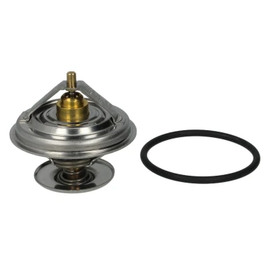 Afbeelding van Thermostaat, koelvloeistof BorgWarner (Wahler) 4105.79D
