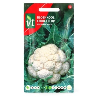Afbeelding van Bloemkool Walcheren Winter Zaden Mooie en Witte Winterbloemkool van