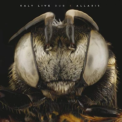 Afbeelding van Kaly Live Dub Allaxis (CD)