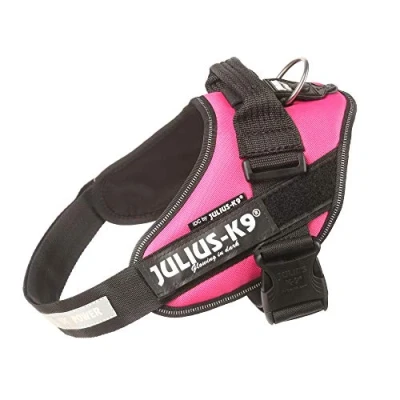 Afbeelding van Julius K9 IDC®Powertuig, M maat 0, donkerroze