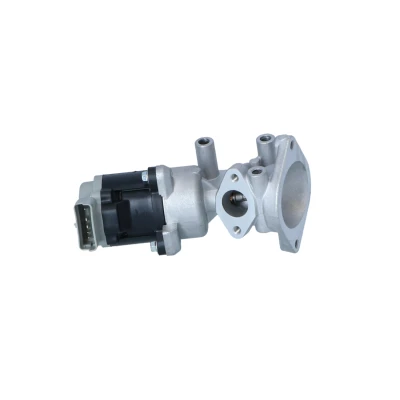 Afbeelding van NRF 48602 EGR klep Electrisch LAND ROVER: Range Rover Sport