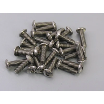 Afbeelding van Inbusbout M5 x 16 Bofix RVS met bolkop (25 stuks)