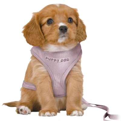 Afbeelding van Trixie Hondentuig Junior Puppy Softtuig Met Riem Lila 36 50X1 CM / 2 MTR
