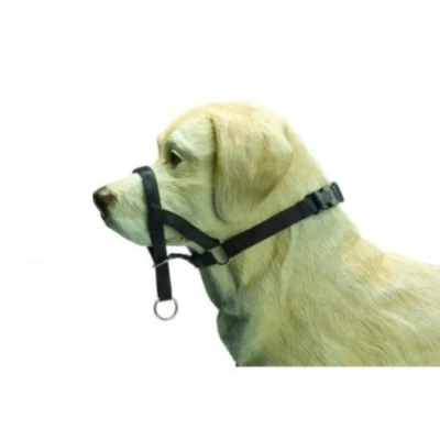 Afbeelding van BZ Correctiehalsband voor honden zwart maat M