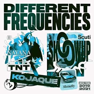 Afbeelding van Different Frequencies (LP)