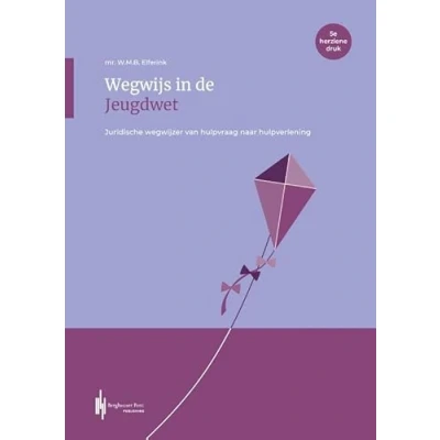 Afbeelding van Wegwijs in de jeugdwet