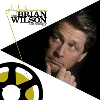 Afbeelding van Playback: The Brian Wilson Anthology (2LP)