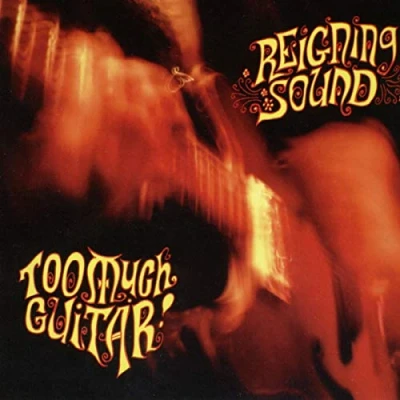 Afbeelding van Reigning Sound Too Much Guitar (CD)