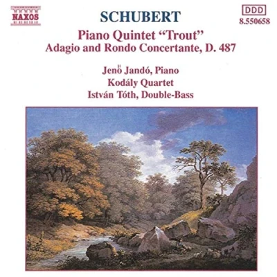 Afbeelding van Jeno Jando, Istvan Toth &amp; Kodály Quartet Piano Quintet Adagio And Rondo Concertante (CD)