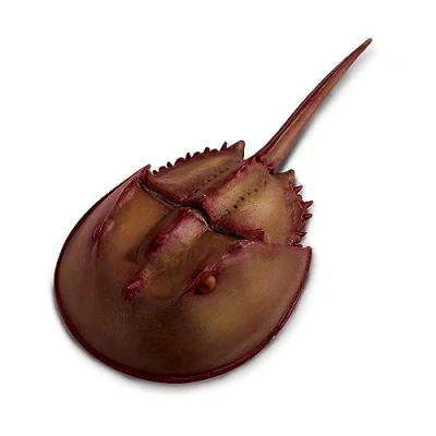 Afbeelding van Toob Safari Animal Horseshoe Crab, 261429, meerkleurig