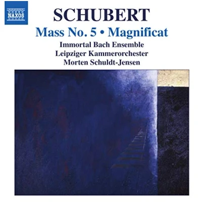 Afbeelding van Immortal Bach Ensemble, Leipziger Kammerorchester, Morten Schuldt Jensen Schubert: Mass No.5/Magnificat (CD)