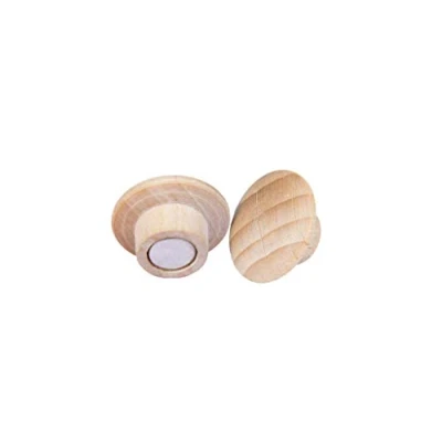 Afbeelding van Magneet Legamaster hout 5 stuks