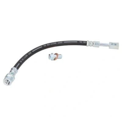 Afbeelding van DELPHI LH7313 Remslang 317