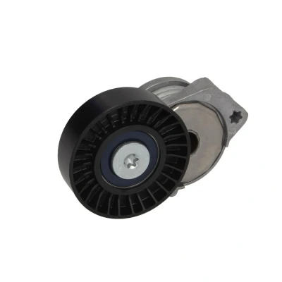 Afbeelding van SWAG 55 93 0146 Riemspanner VOLVO: V60 I, XC60 I