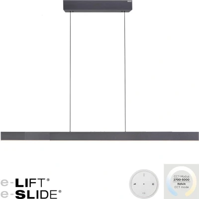 Afbeelding van Neuhaus PURE Hanglamp e Lift + Slide L 120 200 cm zwart
