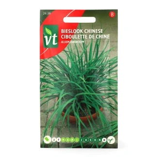 Afbeelding van Chinese Bieslook Zaden Aromatische Kruiden voor Exotische Gerechten en Salades