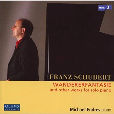 Afbeelding van Michael Endres Schubert: Wandererfantasie And Other Works For Piano Solo (CD)