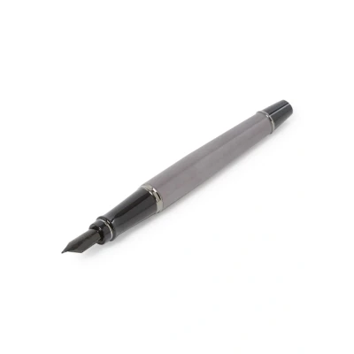 Afbeelding van Waterman Expert Metallic Silver Rt Vulpen