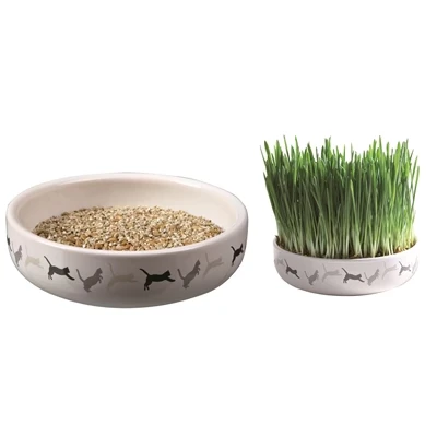 Afbeelding van Trixie Kattengraszaad 50Gr In Keramiek 15X15X4 CM