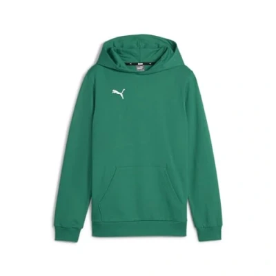 Afbeelding van PUMA Teamgoal Casuals Jr trui met capuchon voor jongens