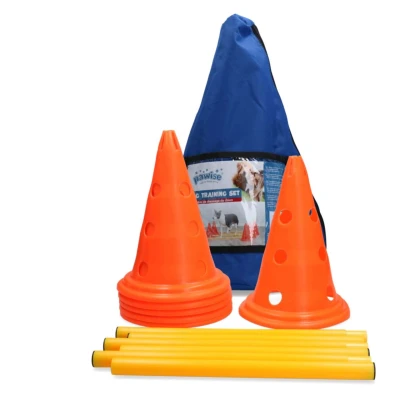 Afbeelding van Pawise Activity Set Honden
