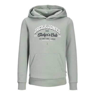 Afbeelding van Jack &amp; Jones Junior Jjelogo NOOS JNR Hoodie, Heren, Maat: 152, Iceberg green