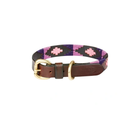 Image de Weatherbeeta Collier Polo Cuir Cowdray Brown/Violet/Violet XS