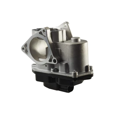 Afbeelding van HELLA 6NU 010 171 801 EGR klep Electrisch Met pakking VOLKSWAGEN: Golf 6, Scirocco III, AUDI: A6 C6 Avant, A3 Hatchback, A4 B8 Saloon