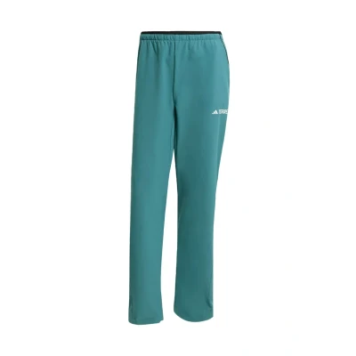 Afbeelding van adidas Terrex Multi Liteflex Broek Heren Groen XS