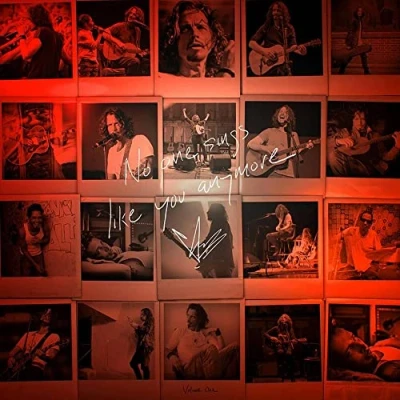 Afbeelding van Chris Cornell No One Sings Like You..