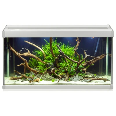 Afbeelding van Akvastabil Family Aquarium Aquaria 70x32.5x37 cm 80 l Grijs Wit