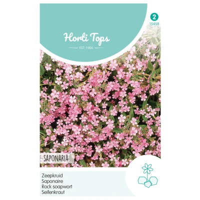 Afbeelding van Saponaria Ocymoides Zeepkruid Rose Hortitops