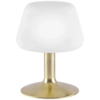 Afbeelding van Paul Neuhaus TILL 4078 60 Bedlamp LED G9 3 W Warmwit Messing (mat)