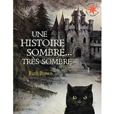 Afbeelding van Une histoire sombre, très sombre