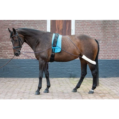 Image de Harry&#039;s Horse Boucles pour Longe de Travail Full
