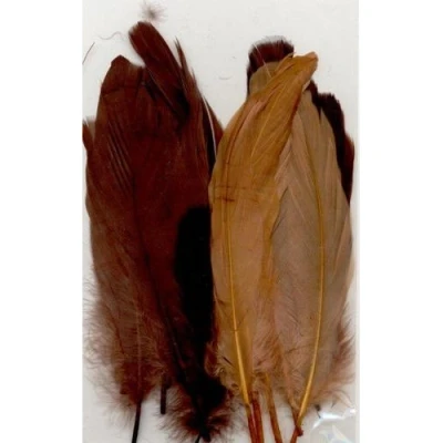 Afbeelding van Veren bruin mix 12,5 17,5 cm 15 ST