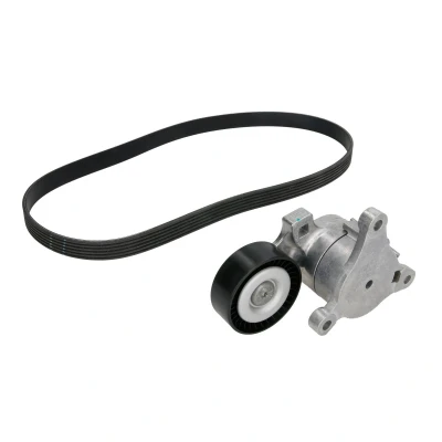 Afbeelding van Ina Poly V riemen kit 529 0214 10