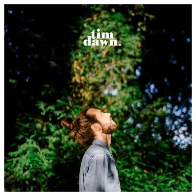 Afbeelding van Tim Dawn I&#039;ll Hold On (Single)