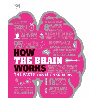 Afbeelding van How the Brain Works