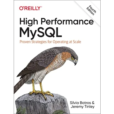 Afbeelding van High Performance MySQL